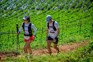 BIB: 3266, 1956
                            <button type="button" onclick="openModal(19164356)" class="btn btn-primary btn-sm float-right btn-popup" data-toggle="modal" data-target=".modal-high-quality">
                        <i class="fas fa-shopping-cart"></i> Add to Cart
                    </button>
                                            <button type="button" onclick="isThisMe(19164356, true)" class="btn btn-success btn-sm float-right btn-popup btn-isme hidden" data-toggle="tooltip" data-placement="bottom" title="นี่คือรูปของคุณใช่ไหม คลิกที่นี่เพื่อเอาเข้าอัลบั้ม">
                        <i class="fas fa-plus"></i> Add to album
                    </button>
                    <button type="button" onclick="isThisMe(19164356, false)" class="btn btn-warning btn-sm float-right btn-popup btn-isnotme hidden">
                        <i class="fas fa-ban"></i> Remove from album
                    </button>